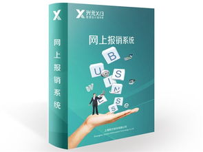 兴元X 3网上报销系统财务行业管理ERP产品图片11